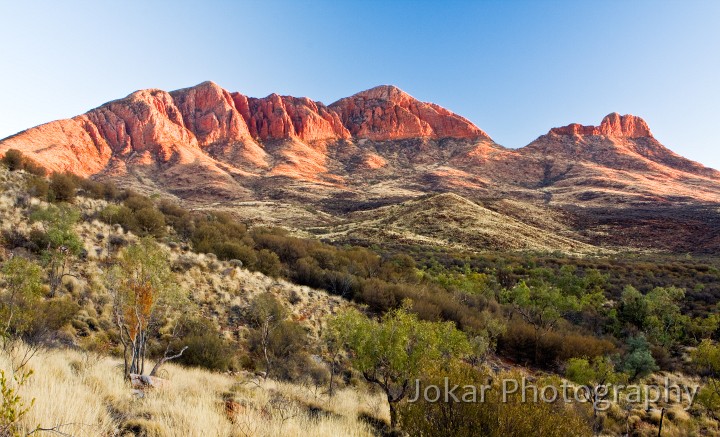 Larapinta_20080601_112 copy.jpg - Mt Sonder in dawn light, from Rocky Bar Gap campsite